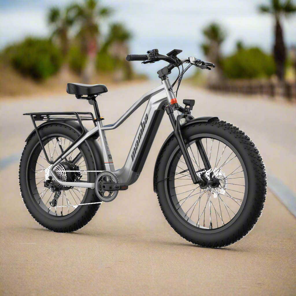 Macarthur e bikes hotsell