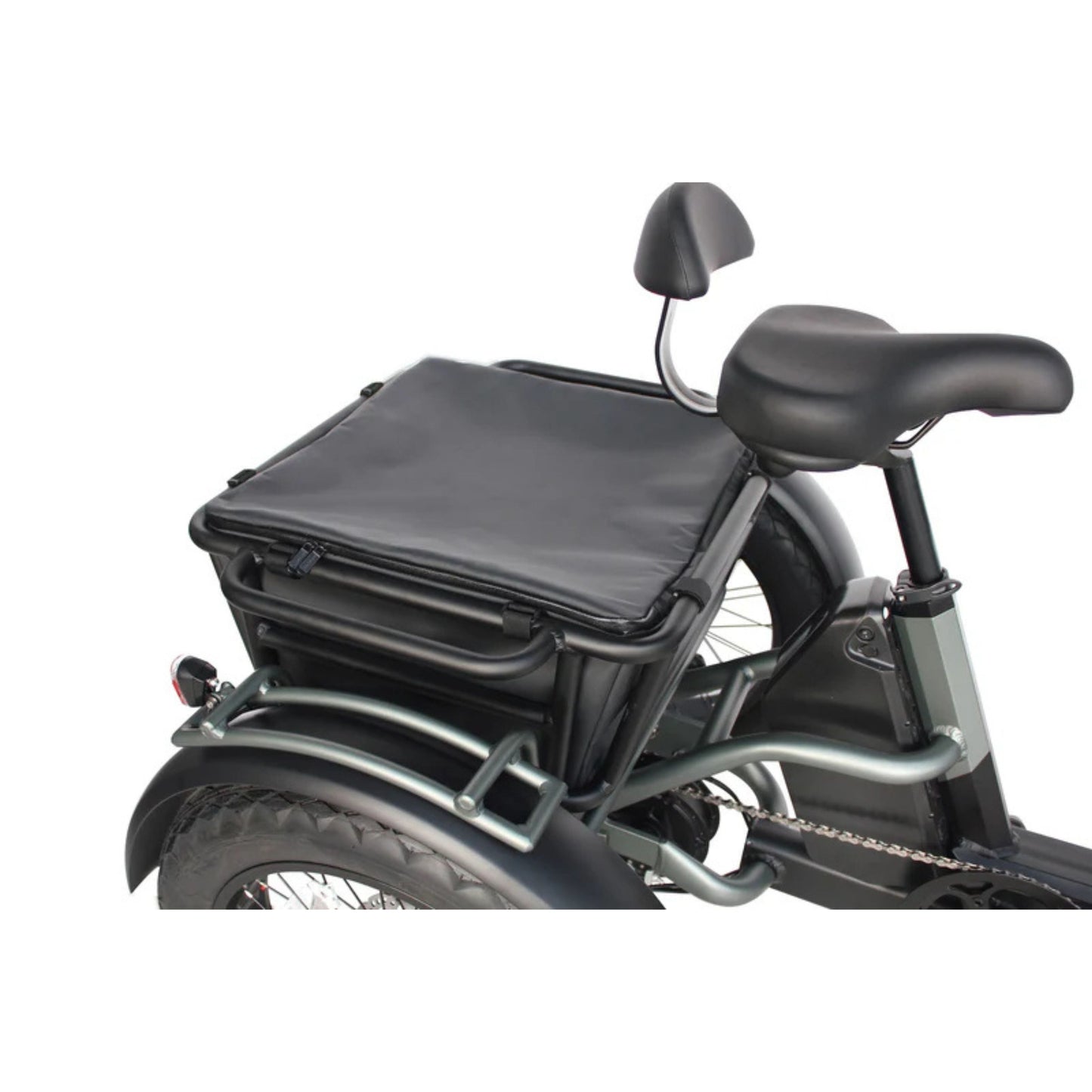 Vamos Papa Grande Pro 2025 - 3 wheel E-Trike