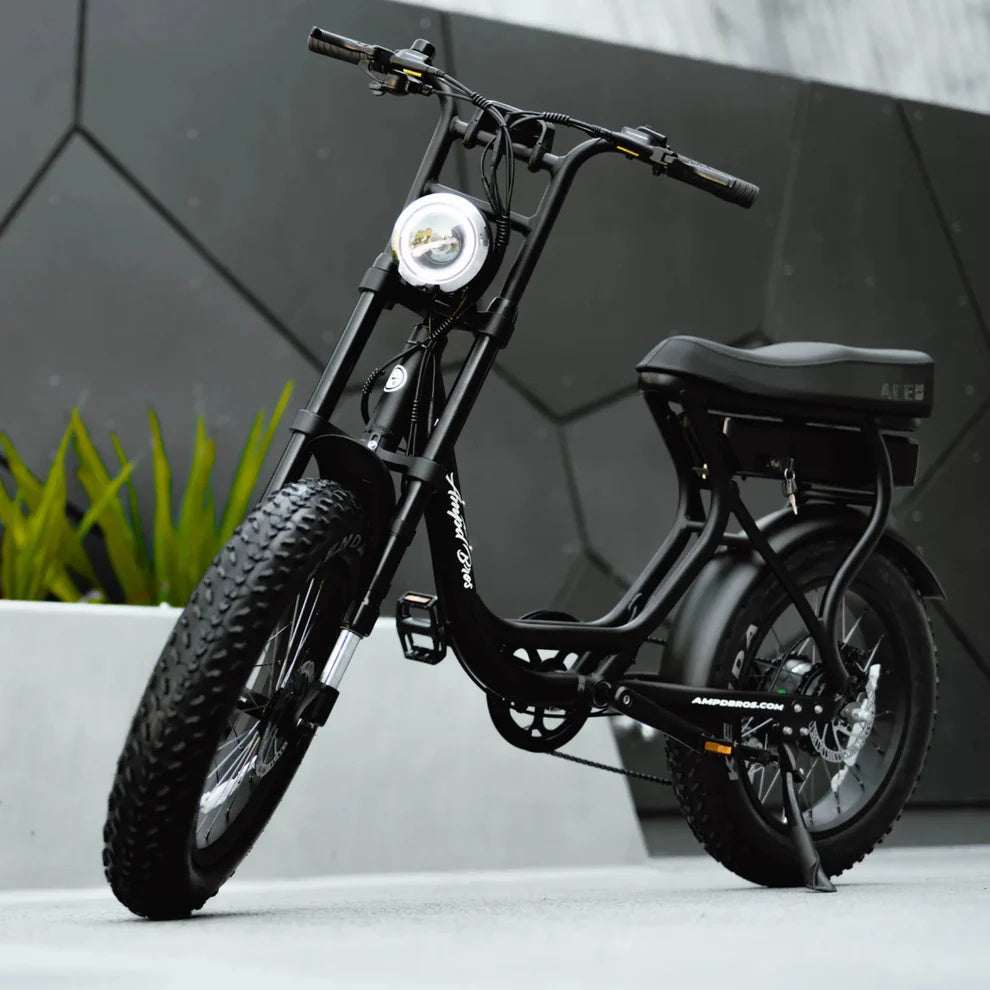 Fatboy eBike