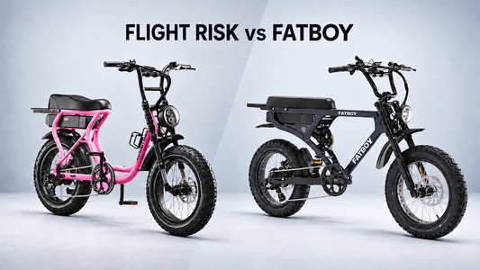 Flight Risk vs Fatboy: Which Electric Bike Is Right for You?