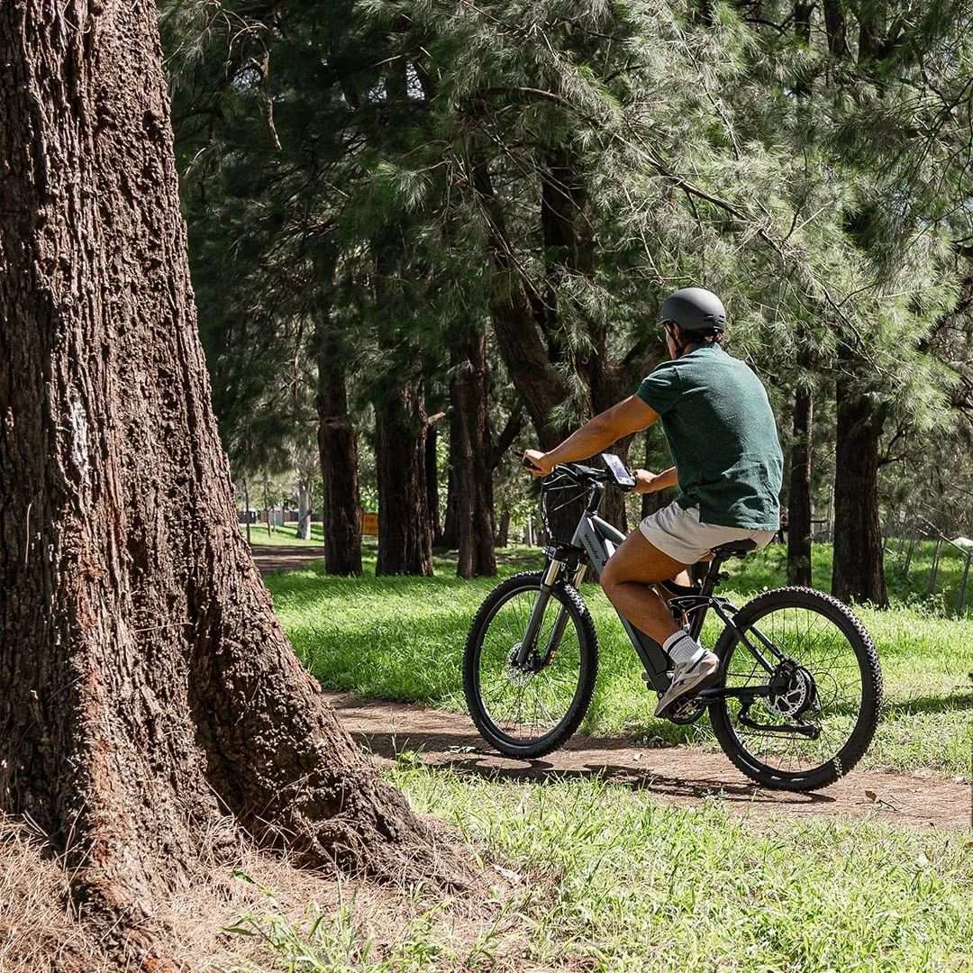 Pedaling Toward Peace of Mind