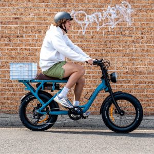 All Electric E-Bikes