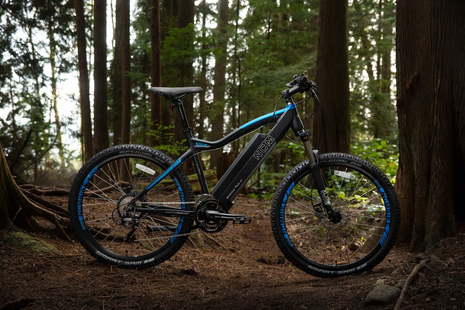 South West Sydney's Best e-Bike Store