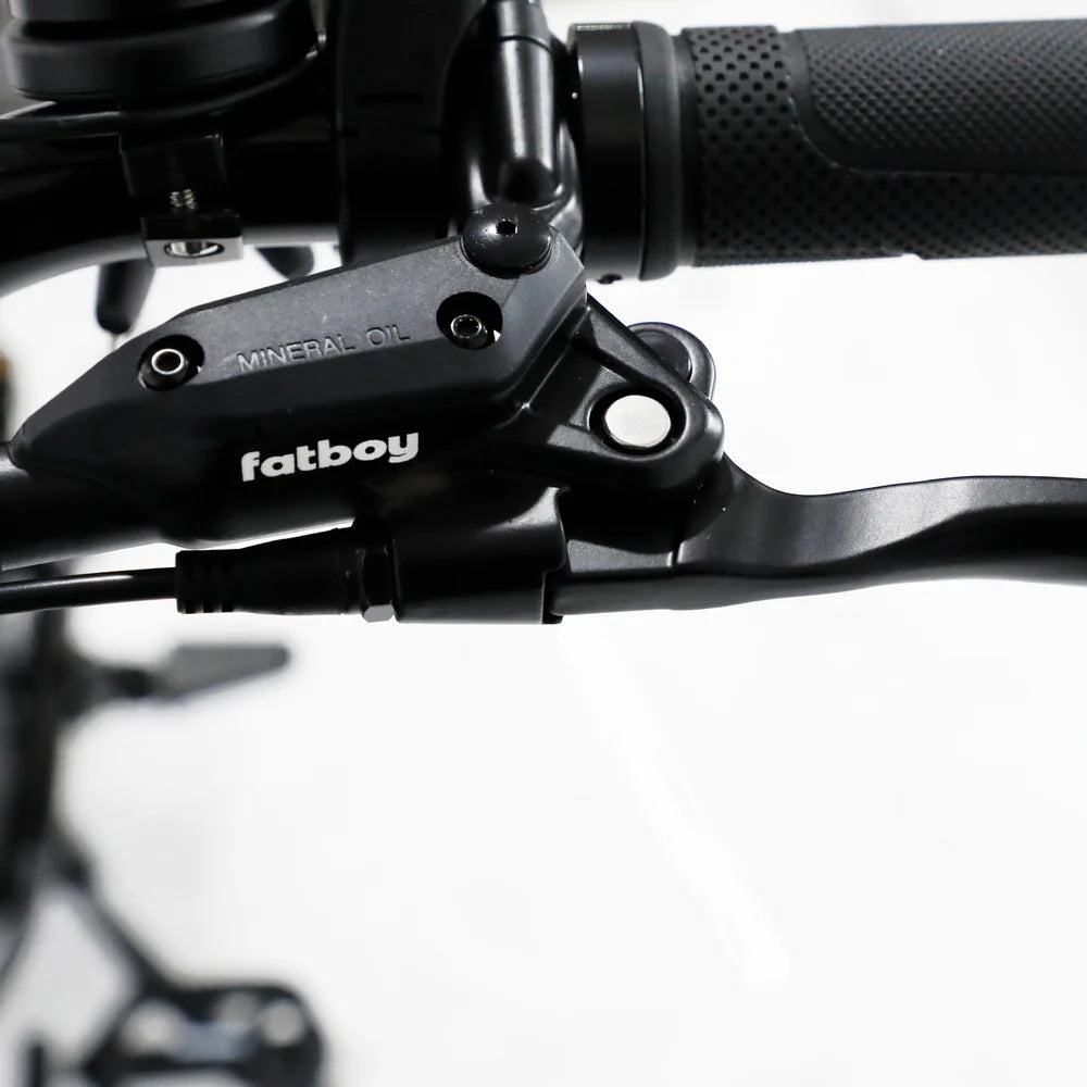 Fatboy Bagus V3 eBike