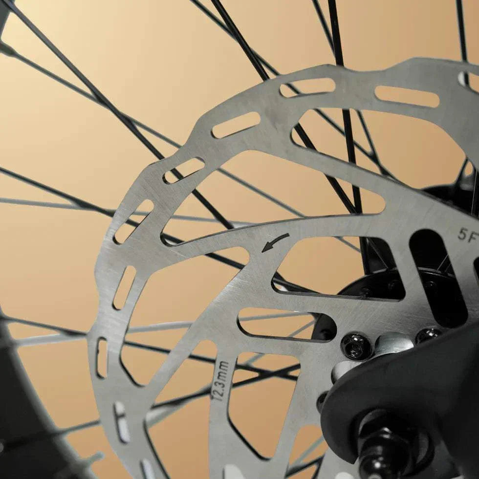 Cruzr Grom Off Road Fat Tyre Electric Bike