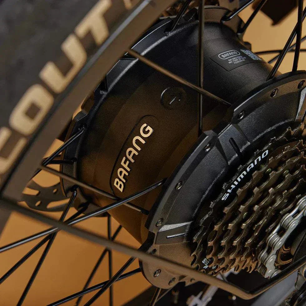 Cruzr Coast Off Road (750w) Fat Tyre Electric Bike