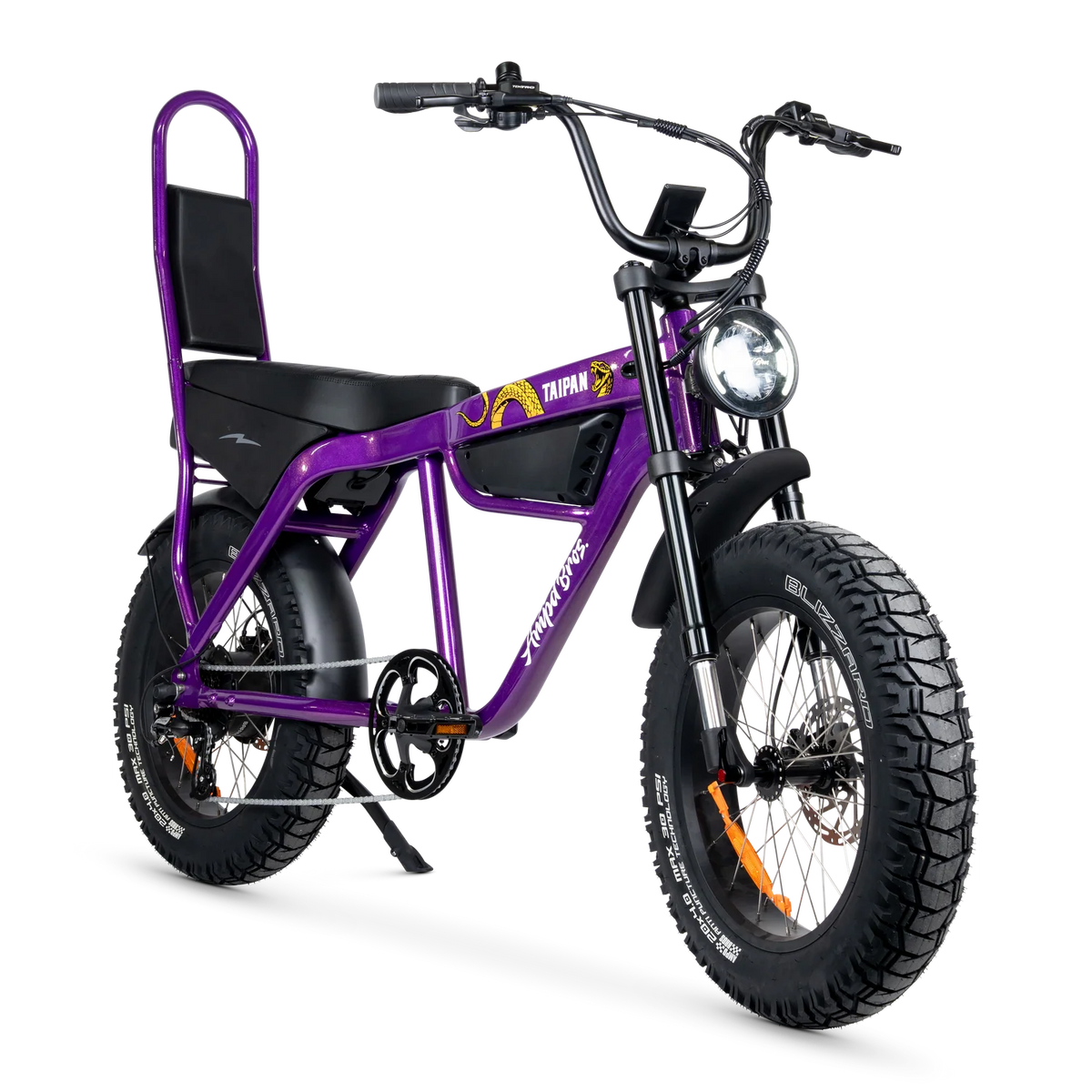 Ampd Bros Taipan Electric Bike EN