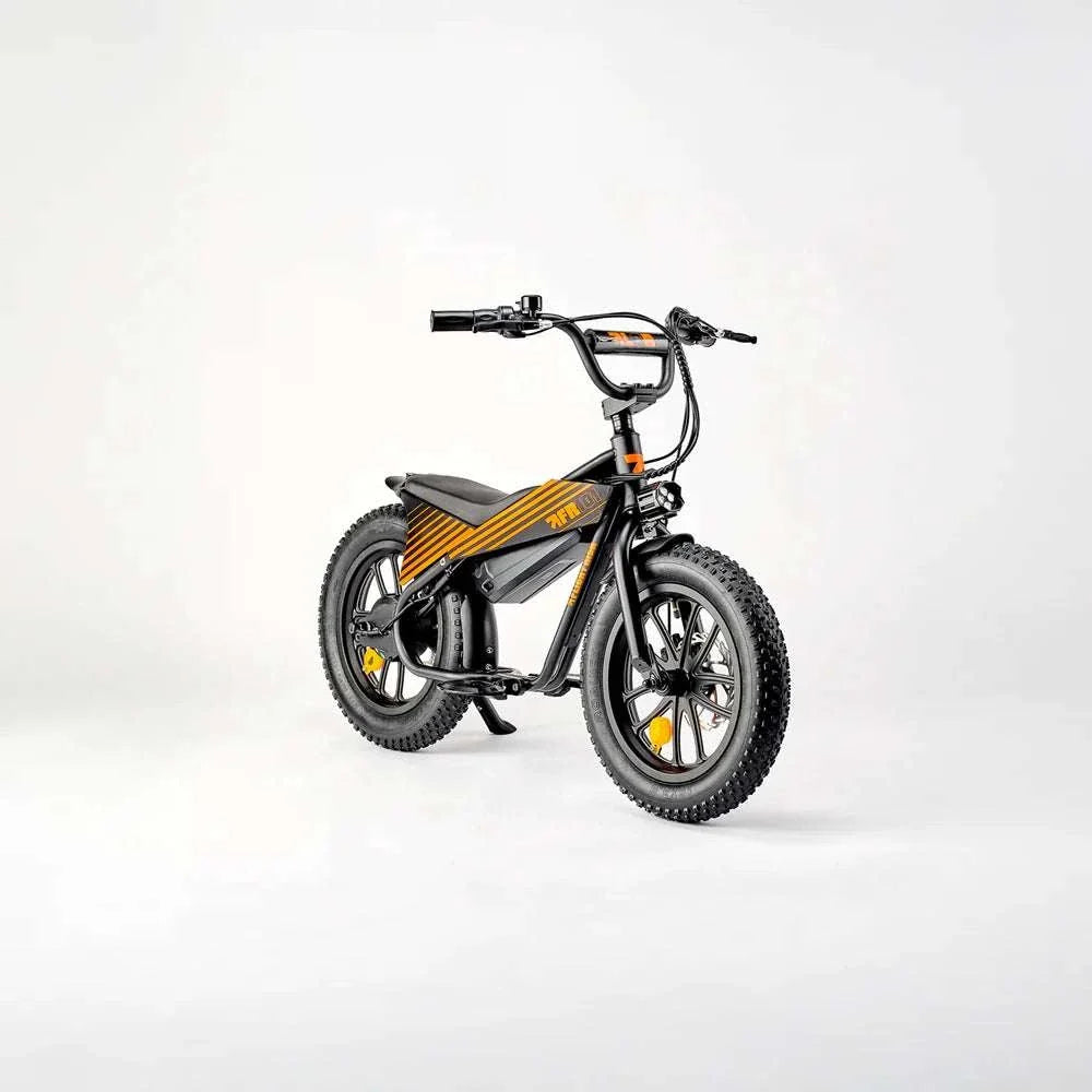 Flight Risk FR101 compact electric e-bike for kids aged 4-7 with 250W motor, disc brakes, and customizable stickers