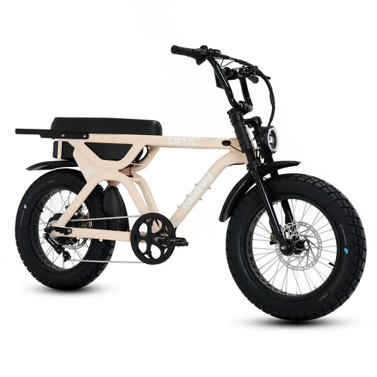 Fatboy DNA V3 eBike