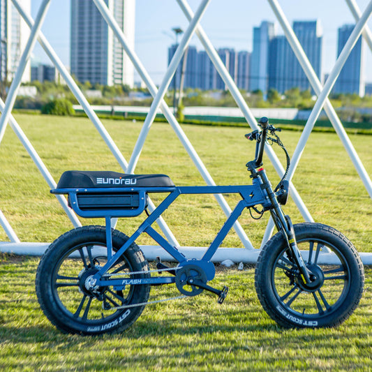 EUNORAU FLASH FAT TYRE CRUISER E-BIKE