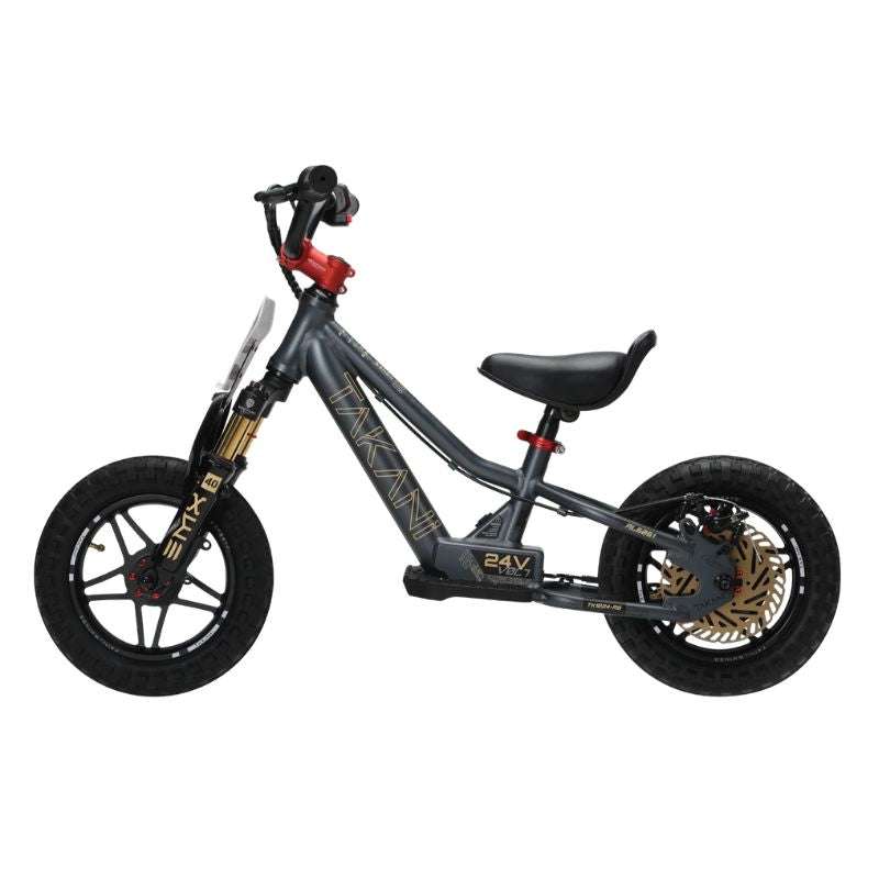 Takani Electric Balance Bike 12'' - TK1224-RS