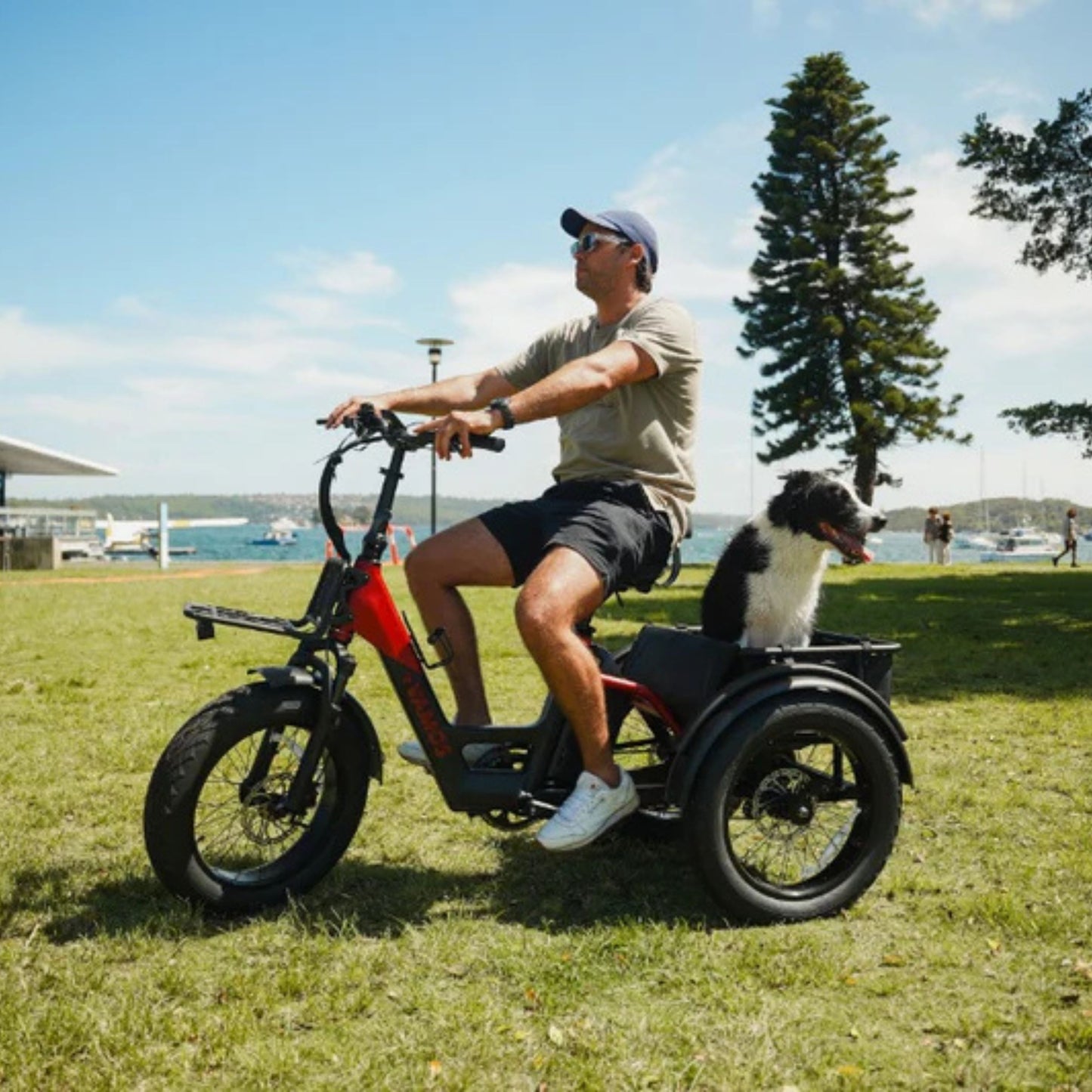 Vamos Papa Grande Pro 2026 - 3 wheel E-Trike