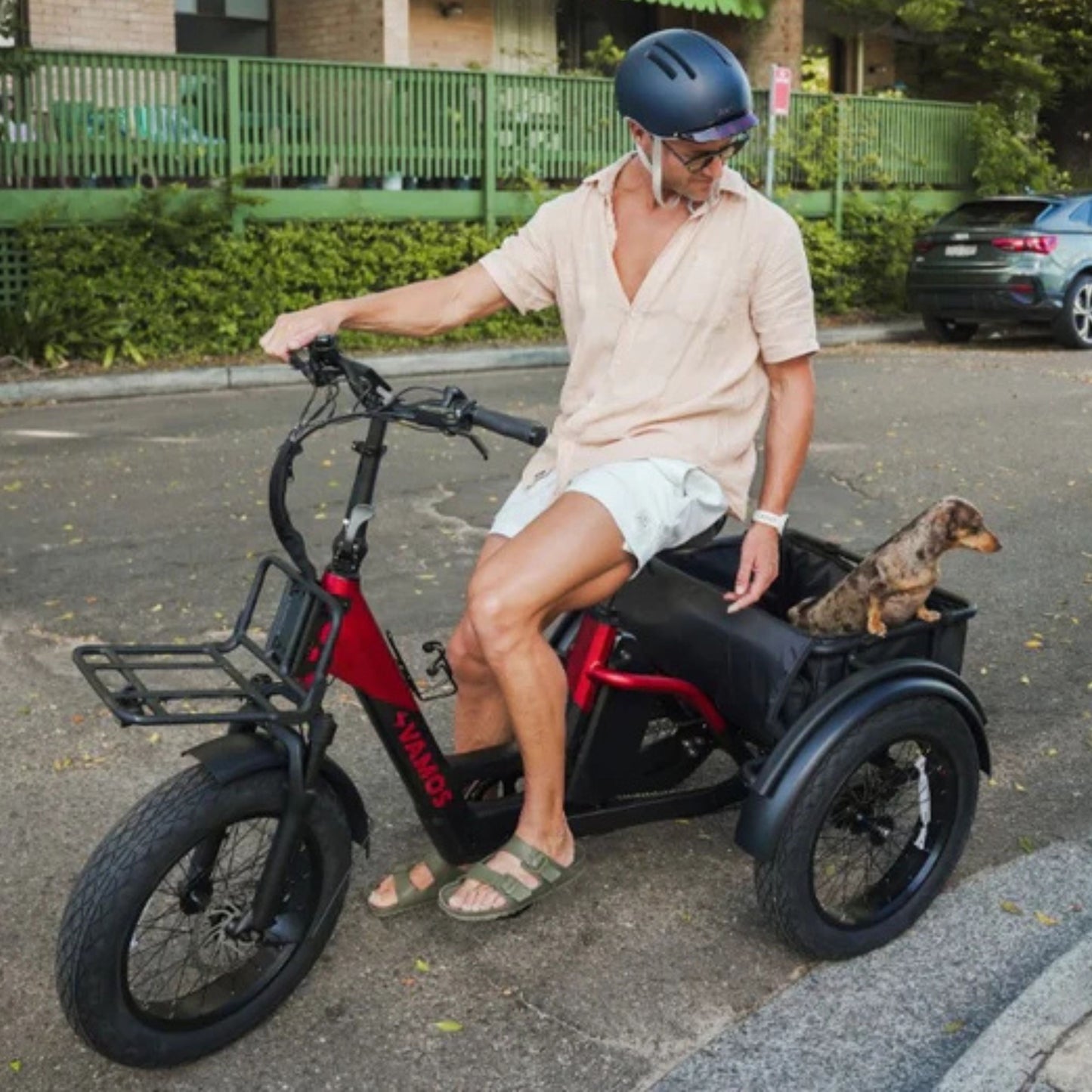 Vamos Papa Grande Pro 2026 - 3 wheel E-Trike