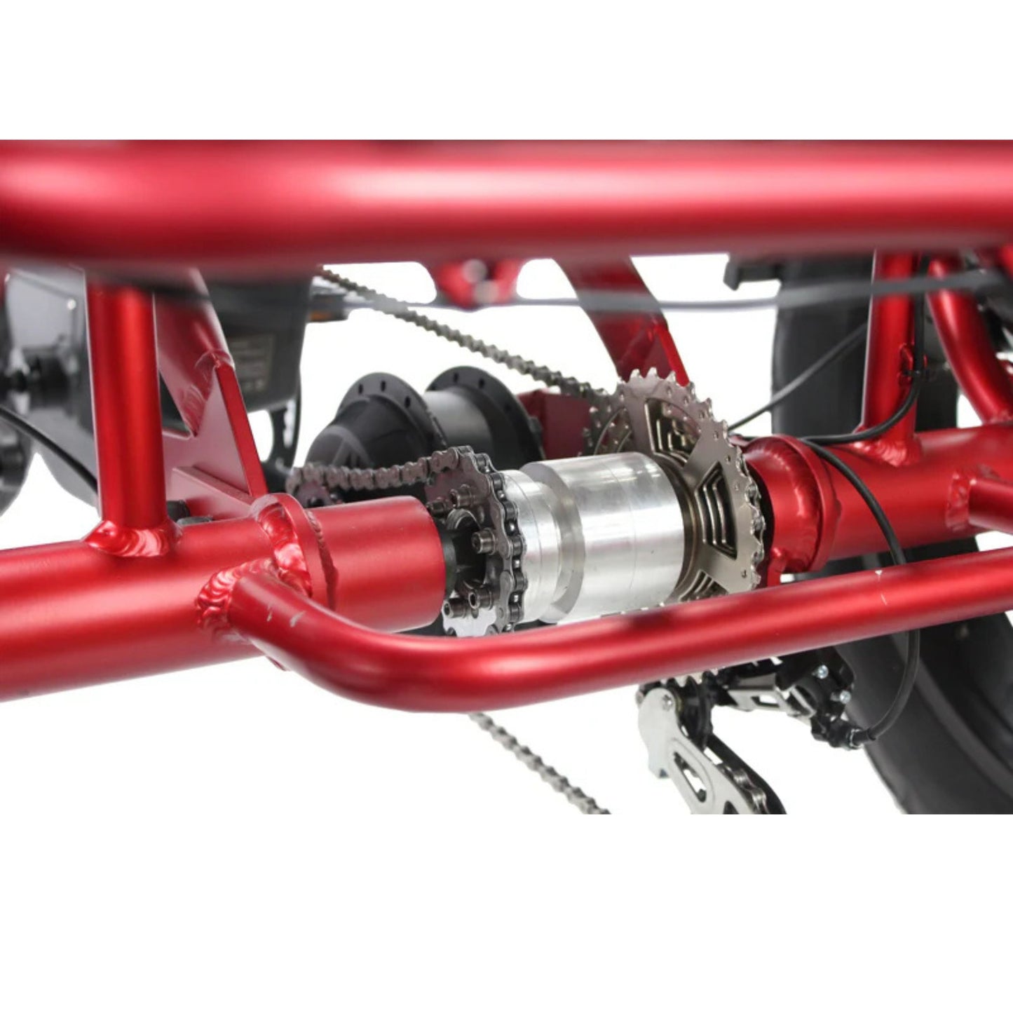 Vamos Papa Grande Pro 2026 - 3 wheel E-Trike