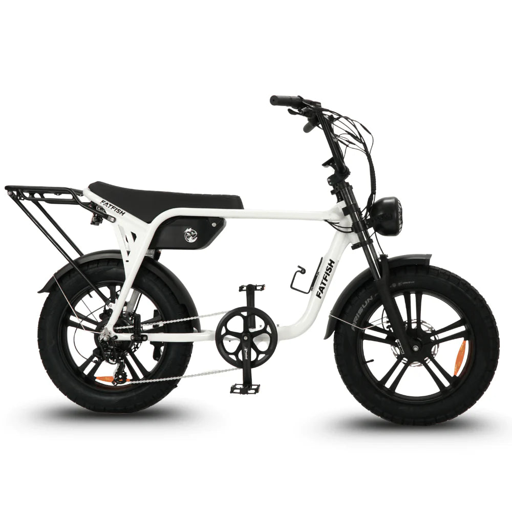 Fatfish Biggie 20AH Fat Tyre E-Bike