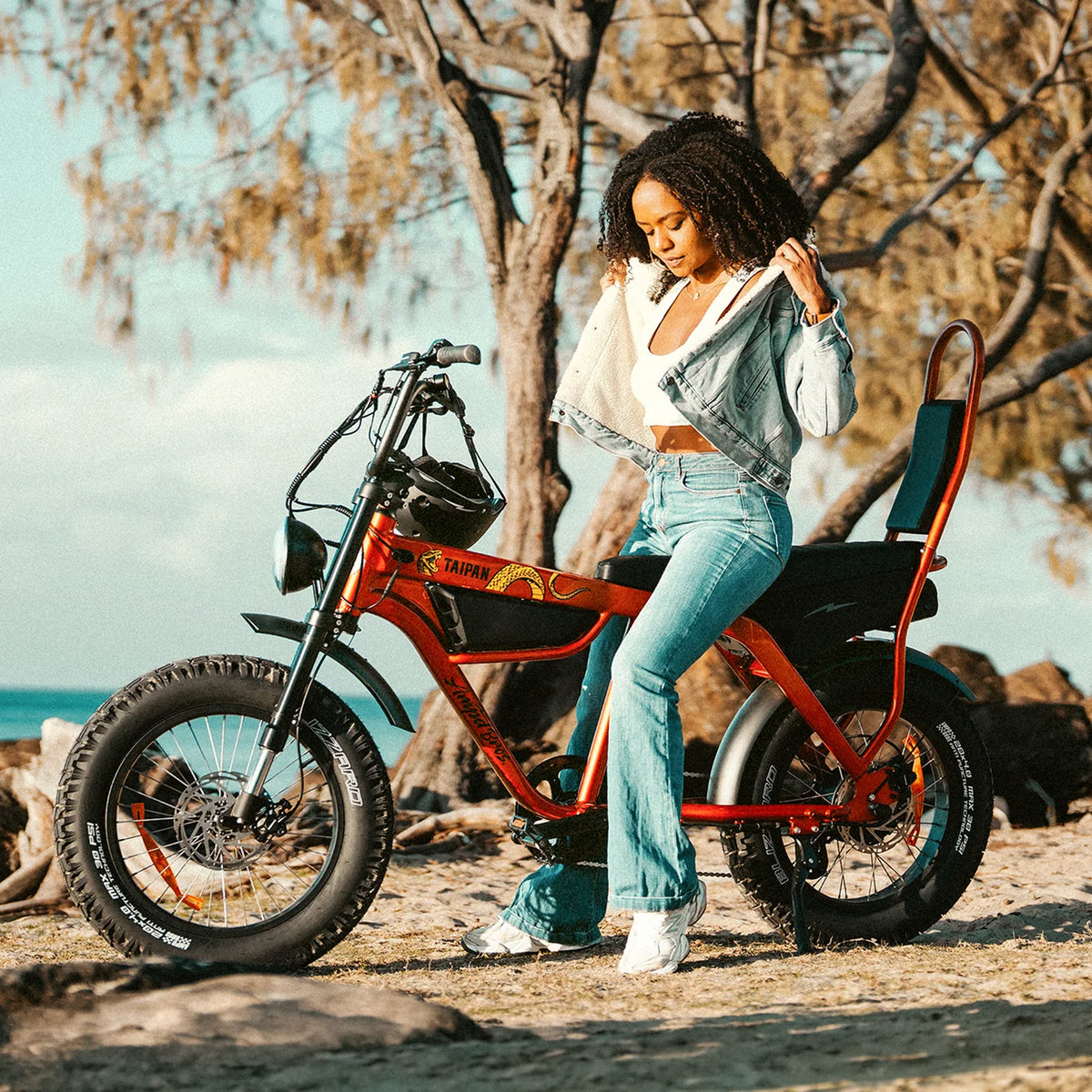 Ampd Bros Taipan Electric Bike EN